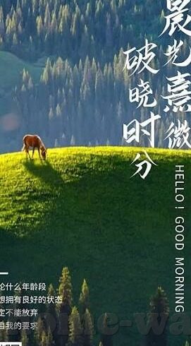 91成人免费视频-成人教育新视角，探索91成人免费视频的隐含价值