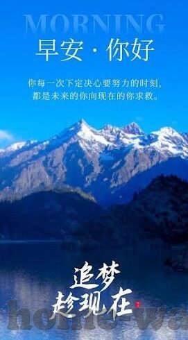 成人手机视频免费观看-成人手机视频的免费观看，现实与边界
