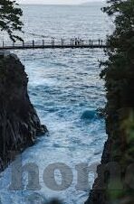 国产黄色视频麻豆-的多元化视野，从麻豆现象透视文化消费新趋势