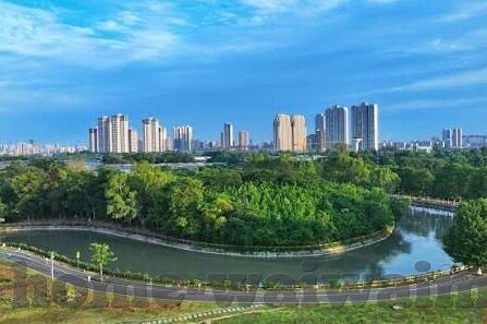 果冻传媒 2022-2022年果冻传媒的数字娱乐新纪元