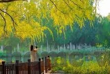 麻豆传媒视频app怎么下载-探秘麻豆传媒视频app的数字世界之旅 —— 获取指南