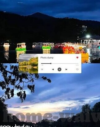 麻豆视频传媒app下-平等交流中的网络内容影响探讨，以麻豆视频传媒APP为核心的公共视野