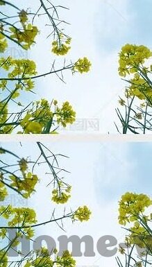 麻豆视频在线下载-穿越网络的便捷，麻豆视频的下载与享用