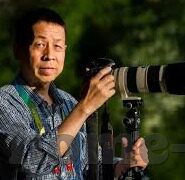 麻豆在线看完整版视频-麻豆在线观影新纪元，品味完整版视频的沉浸式体验