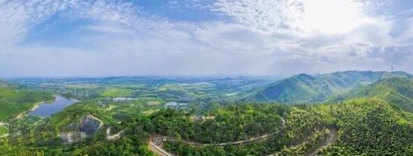 糖心官网app-重塑娱乐体验，糖心官网APP的数字时代革新